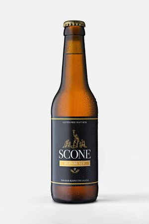 Blonde ale bottle.jpg