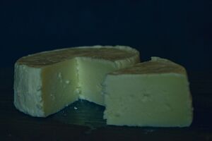 Caxigón de Vaca main.jpg