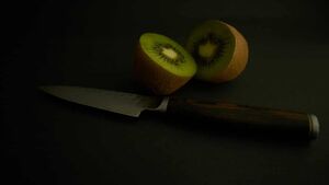 20210227-Eating-Asturias-JT-Kiwi-Feature-1024x576.jpg
